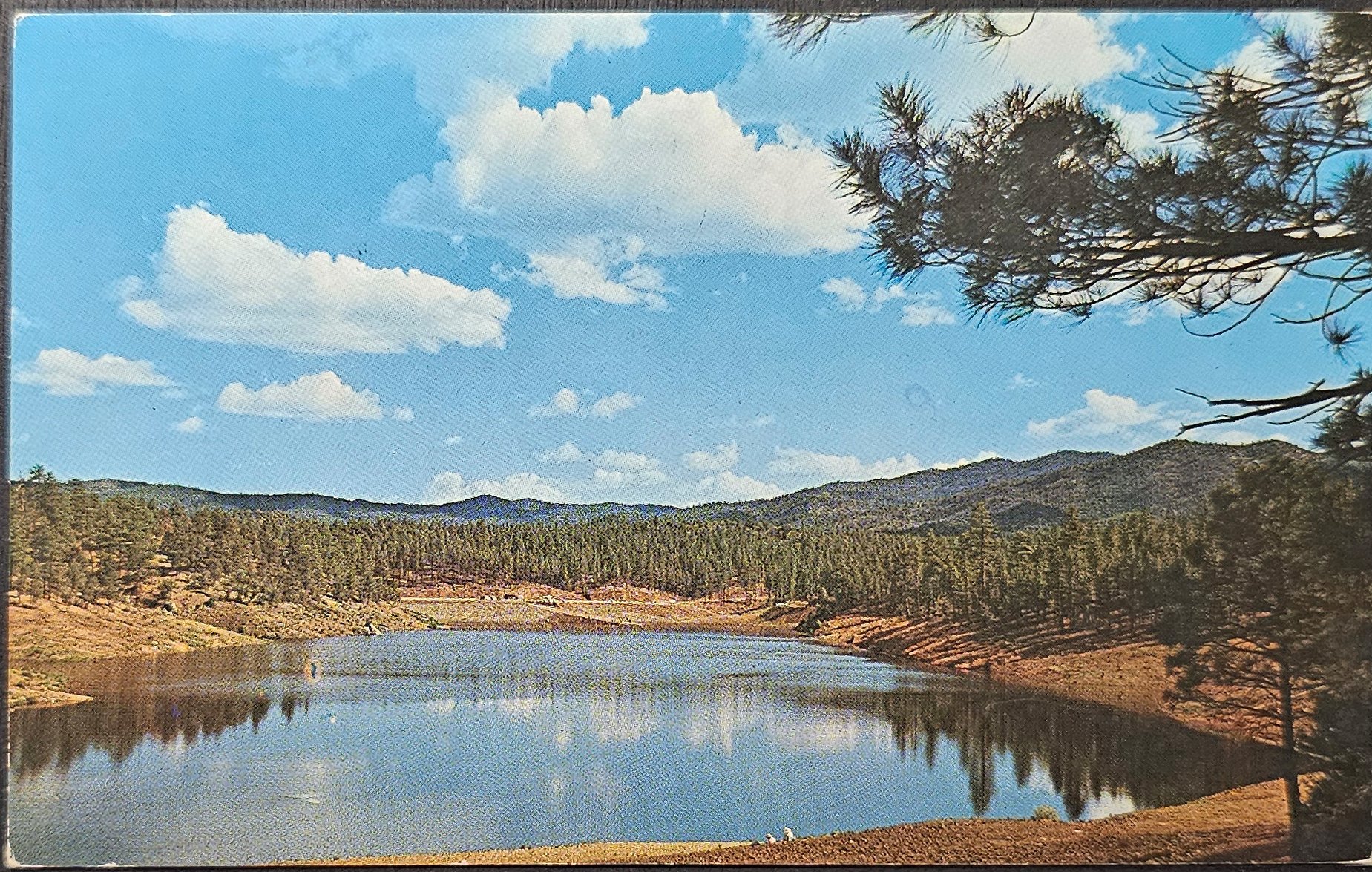 (image for) postcard USA - AZ - Arizona #0020